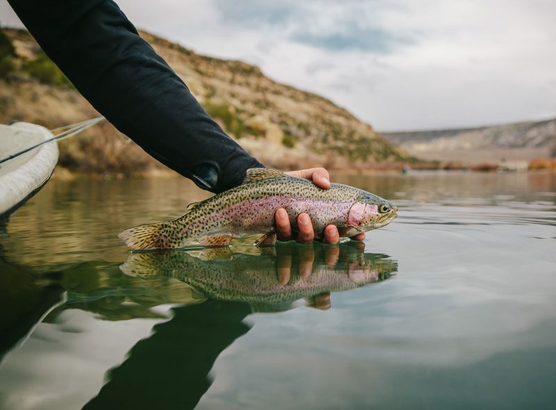 Photo: Andrew Miller