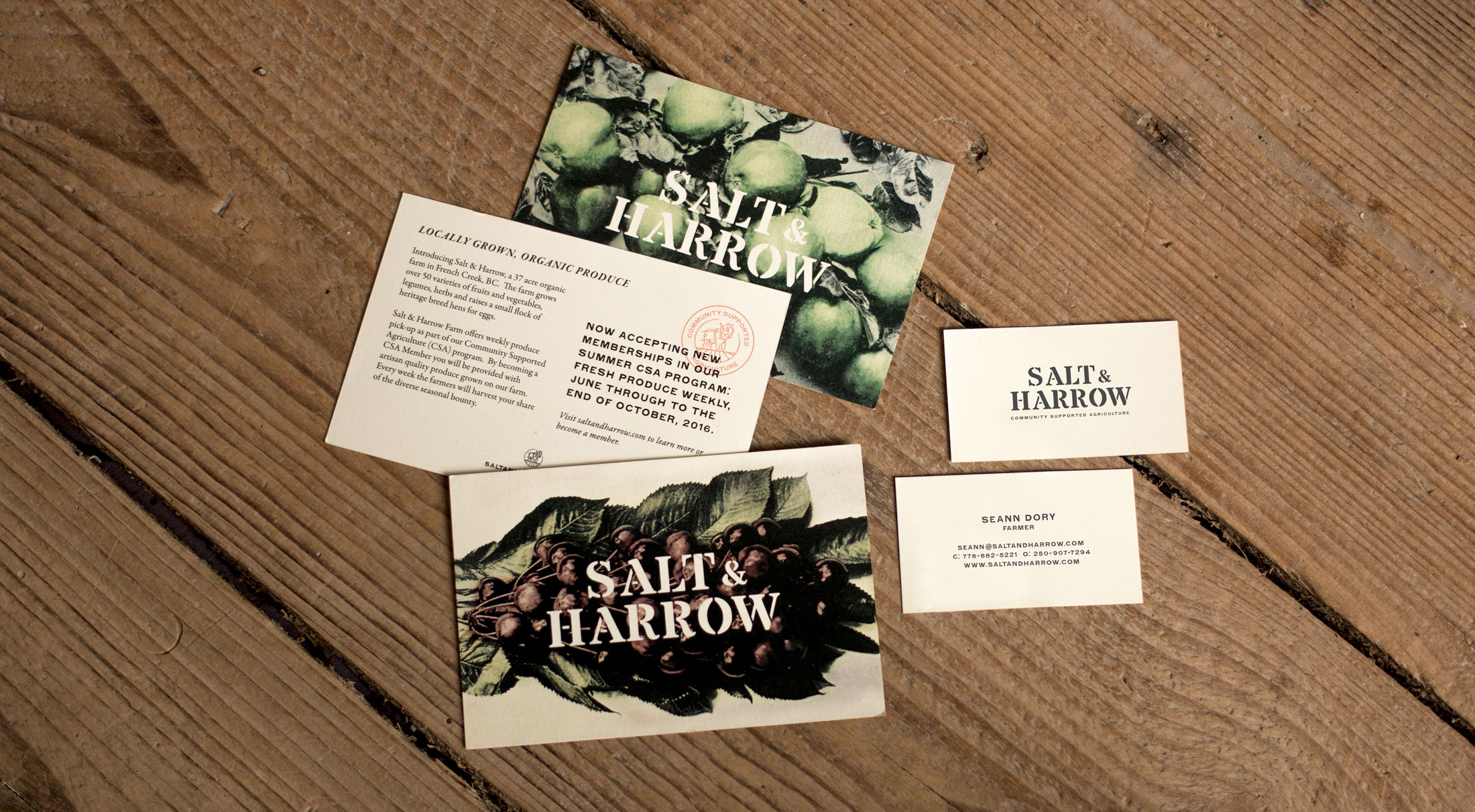 Salt and Harrow - Branding by Hank White Co