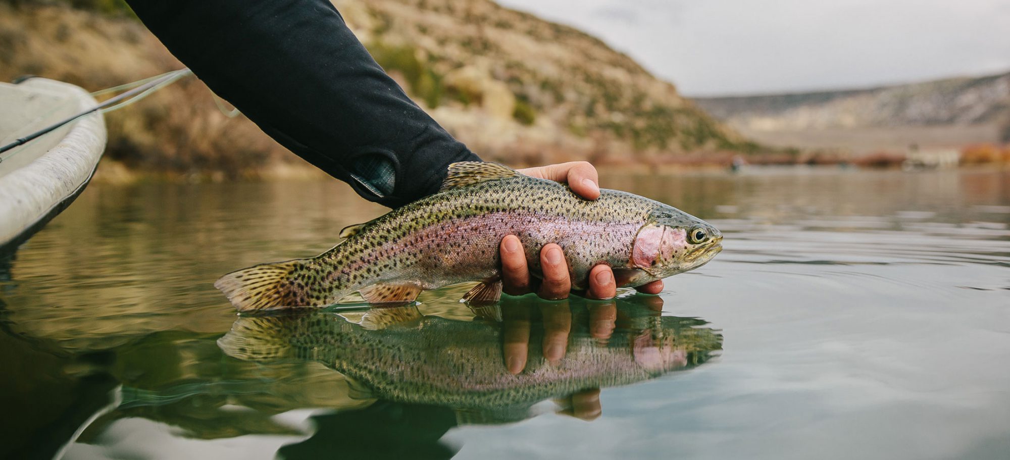 Photo: Andrew Miller